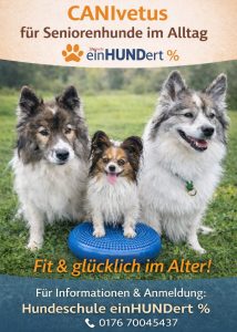 Mehr über den Artikel erfahren 18.01.2026 – CANIvetus wurde ins Leben gerufen