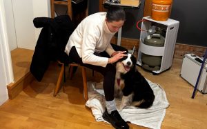 Mehr über den Artikel erfahren 10.01.2026 – Workshop CANIklopfen