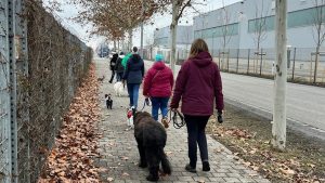 Mehr über den Artikel erfahren 01.02.2026 – Erstes CANIvetus Treffen