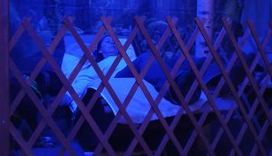 Mehr über den Artikel erfahren 26.03.2026 – CANI-Klangreise