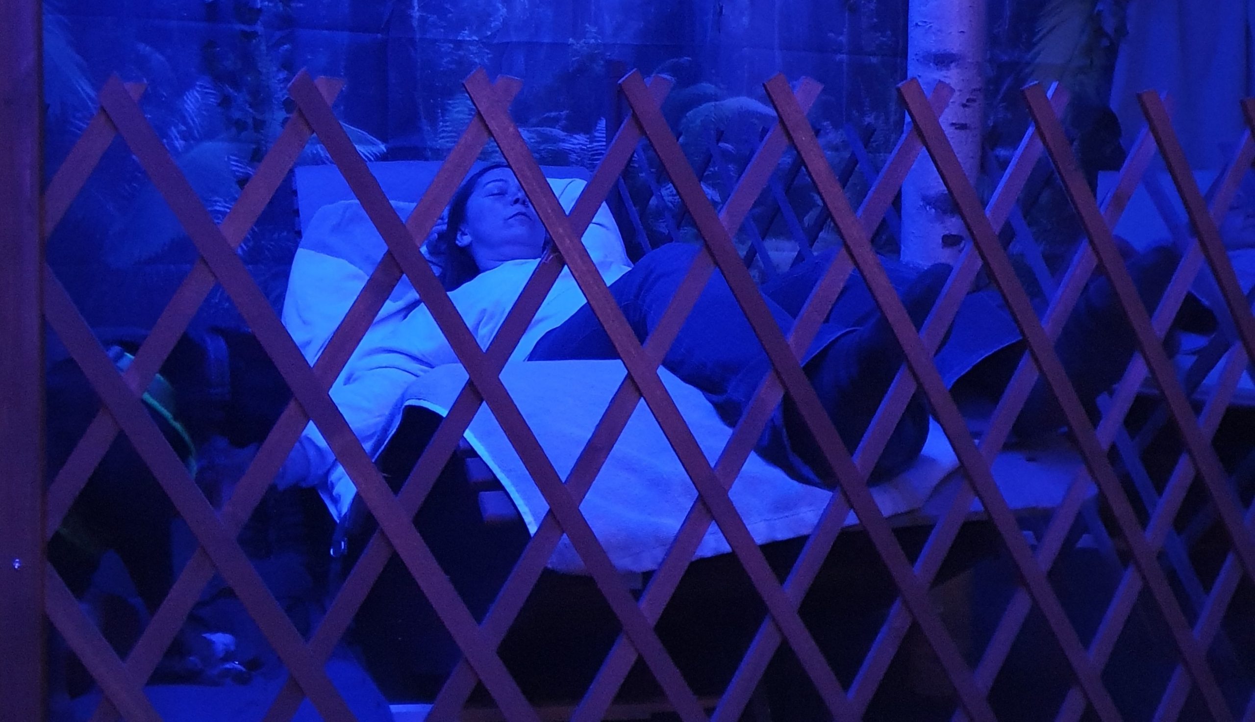 Mehr über den Artikel erfahren 26.03.2026 – CANI-Klangreise