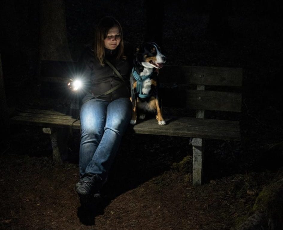 Mehr über den Artikel erfahren 28.03.2026 – Magische Nachtwanderung