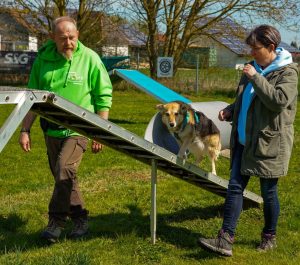 Mehr über den Artikel erfahren 10.-11.04.2026 – CANIwukln wird vorgestellt