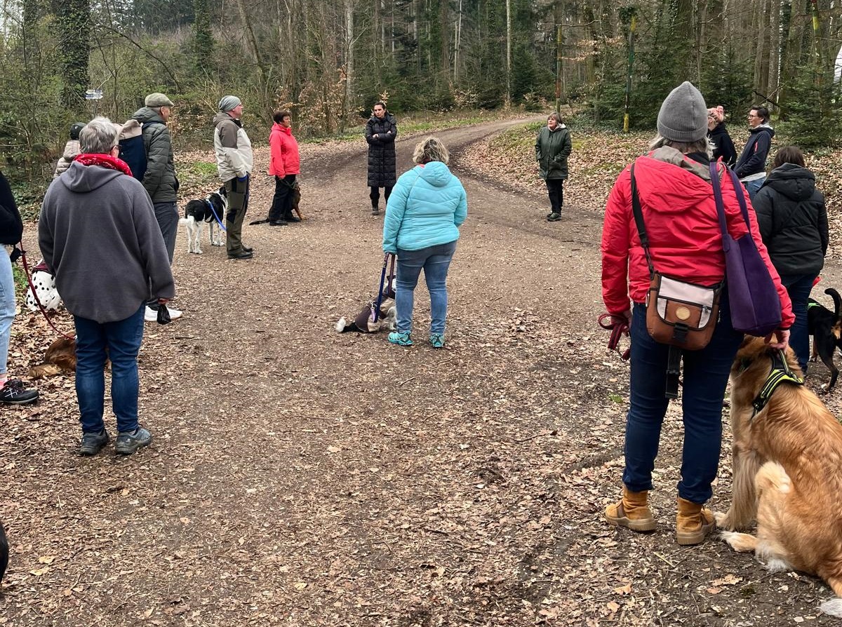 Mehr über den Artikel erfahren 12.04.2026 – CANIvetus – themengeführte Wanderung & Zeckenwissen